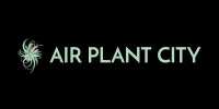 Air Plant City