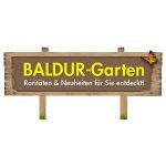 Baldur Garten CH