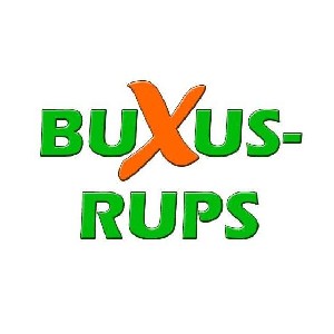 Buxus-Rups