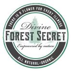 Divine Forest Secret