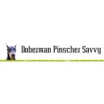 Doberman Pinscher Savvy