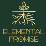Elemental Promise