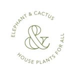 Elephant And Cactus