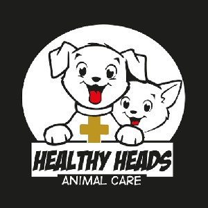 Healthy Heads