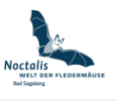 Noctalis