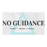 No Guidance