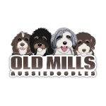 Old Mills Aussiedoodles