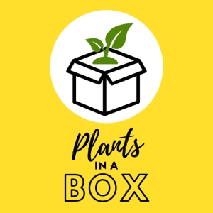 Plants In A Box