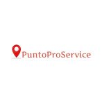 Punto Pro Service