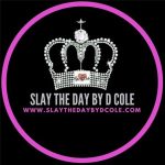 Slay The Day By D Cole