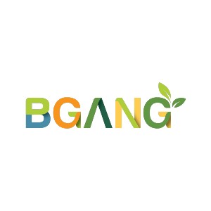 The Bgang