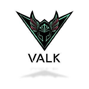 VALK Gaming