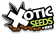 Xotic Seeds