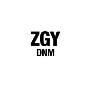 Ziggy Denim